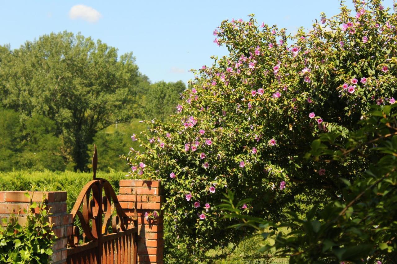 Il Casolare Bed and Breakfast Penna Buitenkant foto