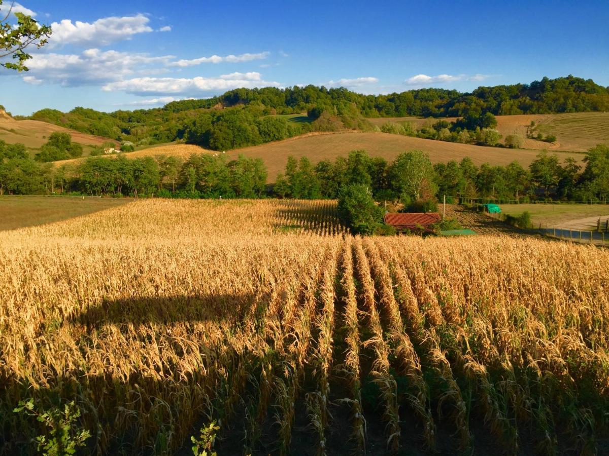 Il Casolare Bed and Breakfast Penna Buitenkant foto