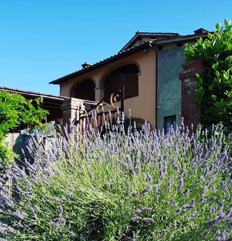 Il Casolare Bed and Breakfast Penna Buitenkant foto