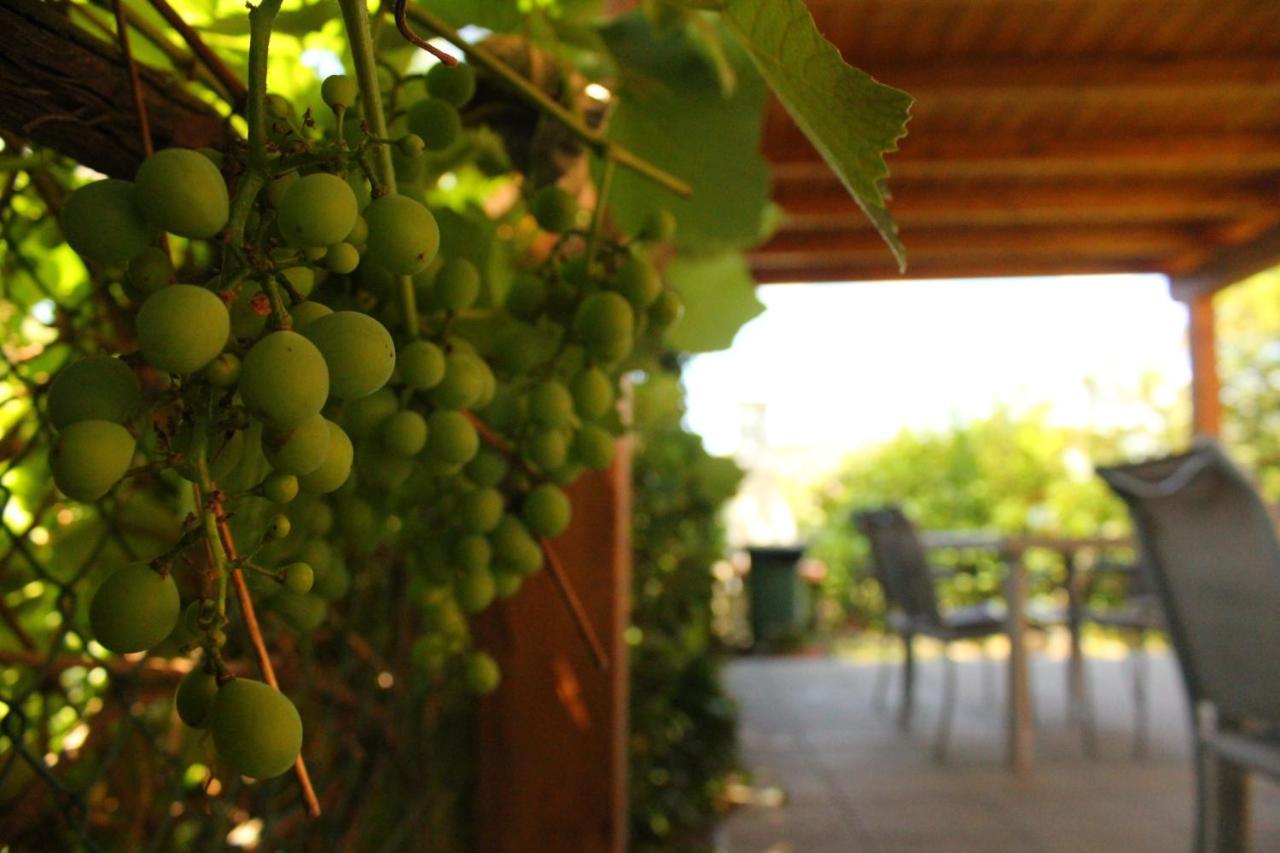 Il Casolare Bed and Breakfast Penna Buitenkant foto