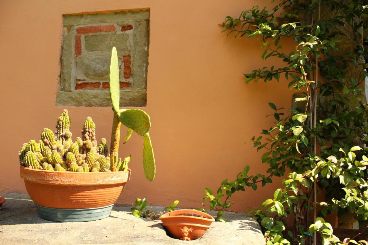 Il Casolare Bed and Breakfast Penna Buitenkant foto